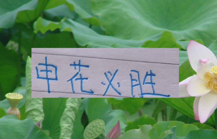 开云中国-现阶段的申花要拿冠军！最大的依仗还是锋线进球能力|上海申花|上海海港|鲁迪·盖伊|上海申花足球俱乐部|大连英博_新浪体育_新浪新闻